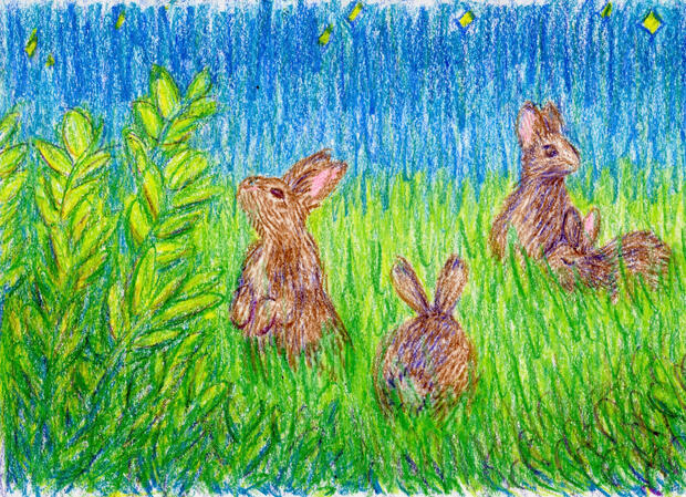 crayon drawing for zine a crayon drawing of 3 rabbits in a field at night, surrounded by grass and leaves